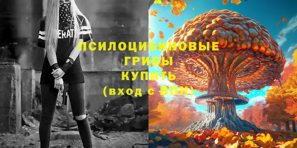 герыч Вяземский